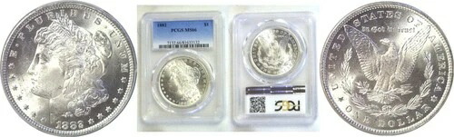 1882年モルガン・ダラー - PCGS MS-66