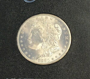 1880 CC GSA ホード モルガン シルバー ダラー 1ドル NGC MS 62 光沢あり｜WORLD RESOURCE【KING店】