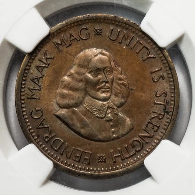 非常に希少な未流通品 1962年南アフリカブロンズ1/2セント - HernA9 - NGC MS-62