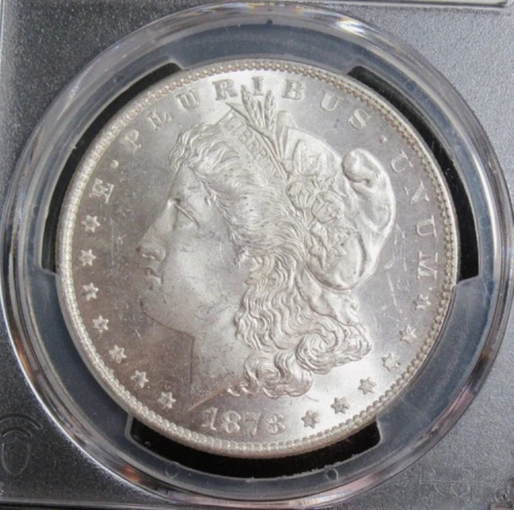 1878年モルガン銀貨7枚羽根、1879年PCGS MS-64+ /CACグリーンの裏面
