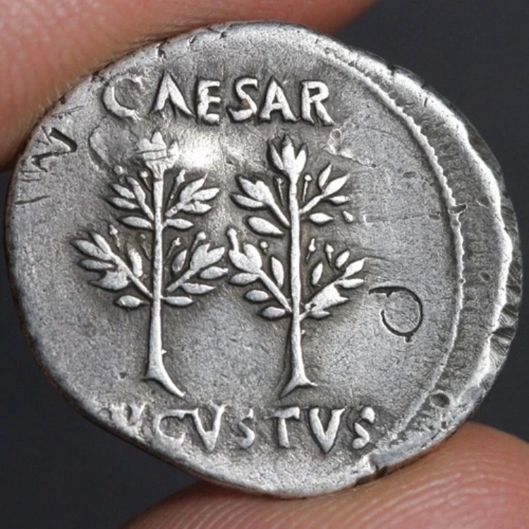 アウグストゥス帝デナリウス19紀元前 古代ローマ帝国 銀貨 月桂樹