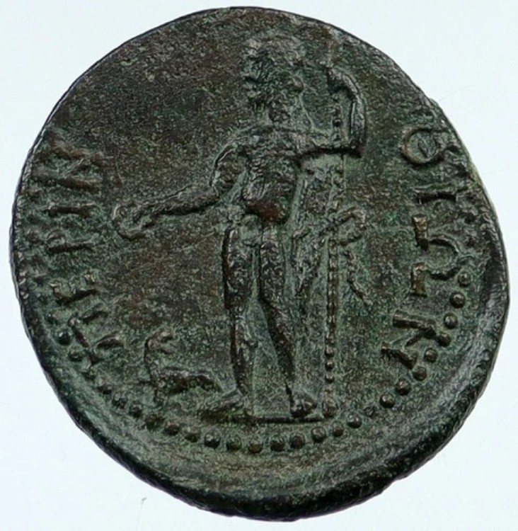 ドミティアヌス81年 ペリントス トラキア 本物の古代ローマコイン ディオニュソス i118029｜WORLD RESOURCE【KING店】
