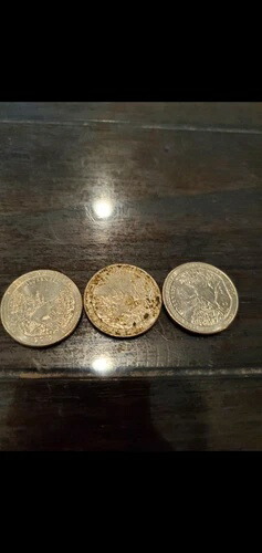 3 2019 リバー・オブ・ザ・ウィルダーンズ・クォーターズ 336,105円