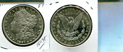 1887年 S モーガン シルバードル BU 1503T