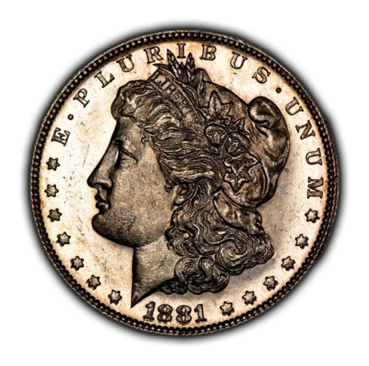 1881-S 1ドルモルガン銀貨 - ガラス質プルーフ状 - BU - ビデオ - SKU-D5425