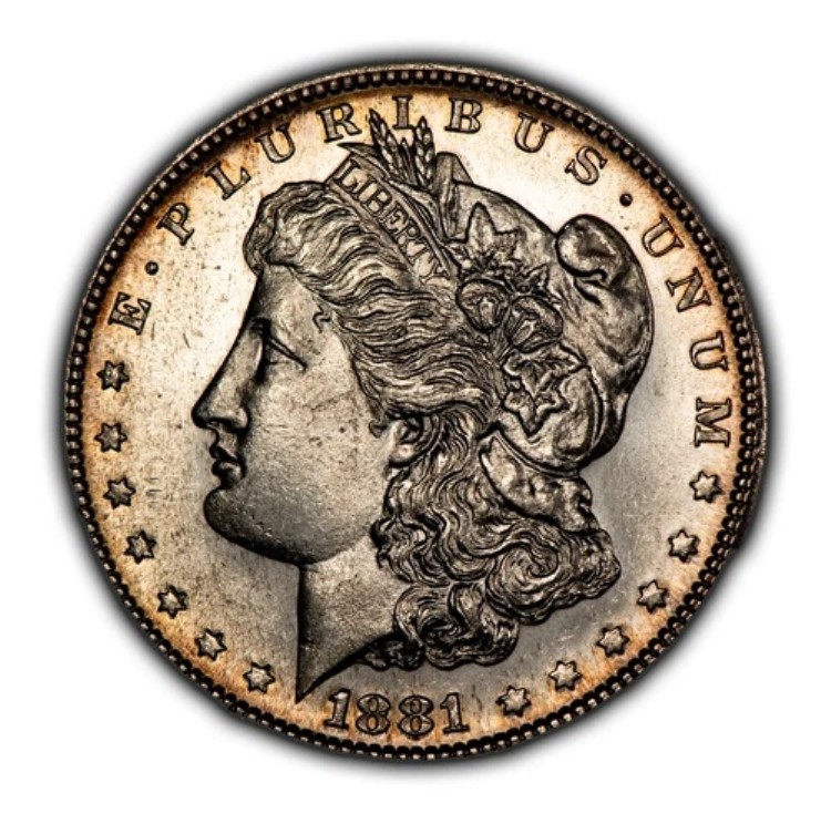 1881-S 1ドルモルガン銀貨 - ガラス質プルーフのようなフィールド - BU - ビデオ - D5441