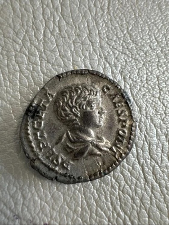 ゲタ・シーザー銀貨デナリウス ? ローマ造幣局 西暦201年 ? プリンク・イヴント ? RIC 18a