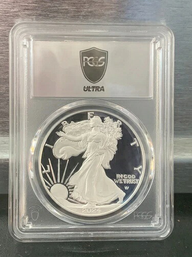 2024年ウルトラブレイクス PCGS PR70 シルバーラベル ワンコイン