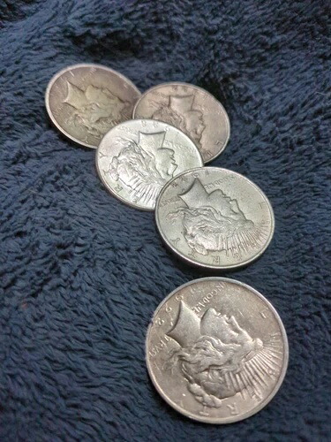 1922-1925年製 US $1 シルバーピースダラー 5枚セット（日付とミントマークが異なる）｜WORLD RESOURCE【KING店】