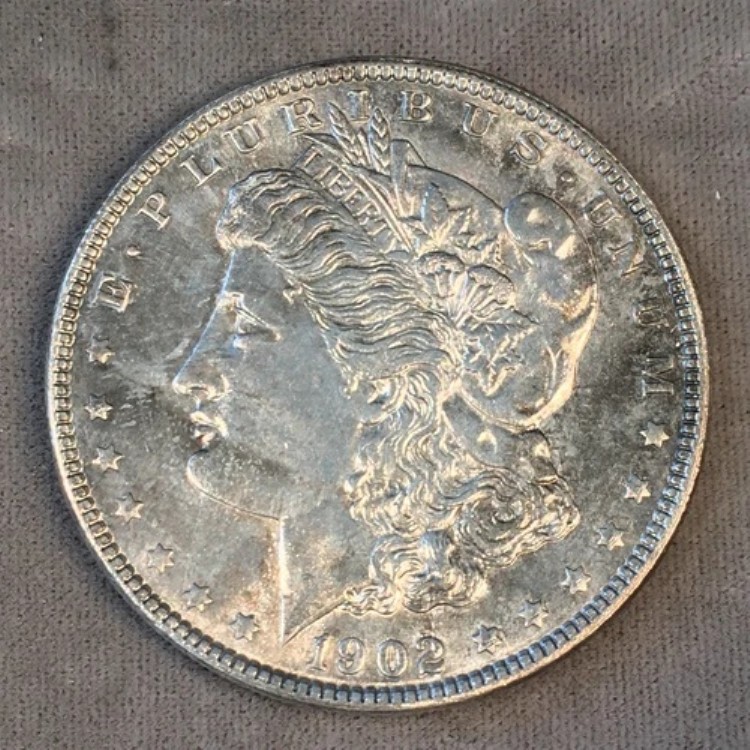 1902年 モルガン銀貨 - 未流通 - 高画質スキャン #C478 をご覧ください|WORLD RESOURCE【KING店】