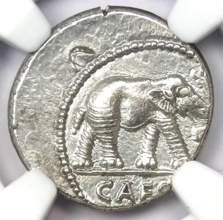 ジュリアス・シーザー AR デナリウス シルバー エレファント コイン 紀元前49年 - NGC Choice AU 認定｜WORLD RESOURCE【KING店】