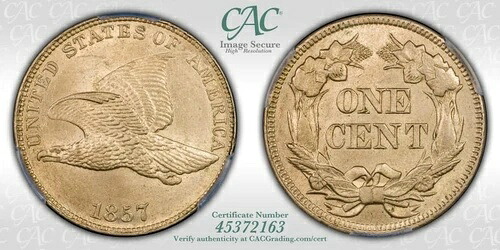 1857年 フライングイーグルセント CACG MS-64 CAC - (ポップ 10/5)｜WORLD RESOURCE【KING店】