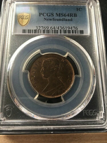 1894年ニューファンドランド1セント硬貨、PCGS鑑定済み、**MS-64** 証明書番号9476