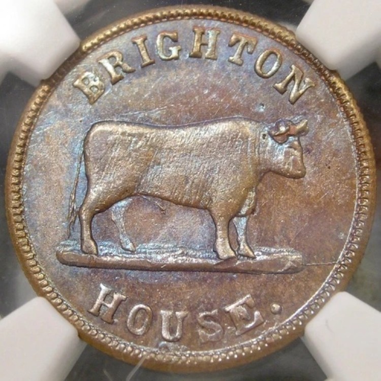 1864/1 シンシナティ ブライトンハウス ブル CWT OH-165R-21a *トップポップ* R.9 NGC MS 64 BN