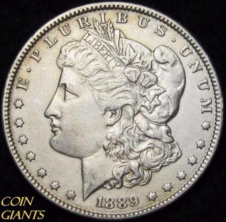 1889-P モルガン銀貨 HOT 50 VAM-18A ダブルイヤーダイチップ R.6 バラエティ S$1