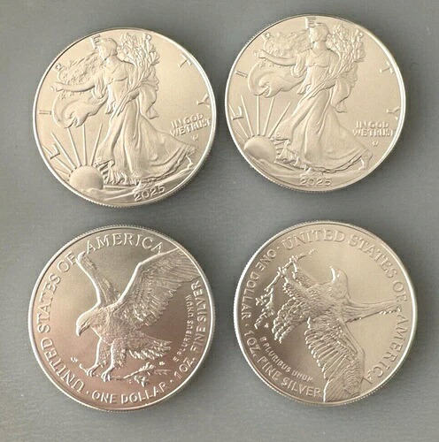 2025年アメリカンイーグル銀貨1オンス、純金0.999米オンス硬貨4枚セット