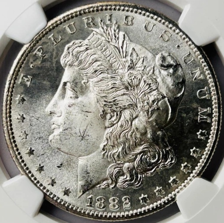1882年 S モルガン銀貨 NGC MS65｜WORLD RESOURCE【KING店】