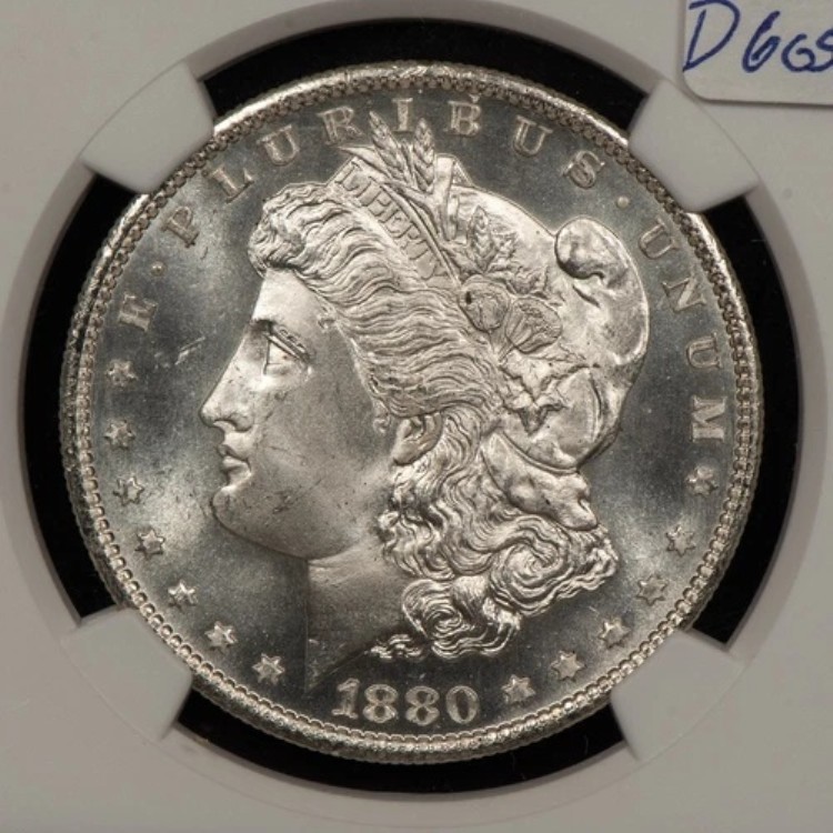 1880-S 1ドルモルガン銀貨 - フロスティPQスターアイアピール - NGC MS 65 - D6055|WORLD RESOURCE【KING店】