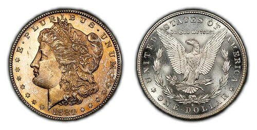 1880-S 1ドルモルガン銀貨 - ゴールデンキャンバスバッグトーニング - フロスティBU - D4947｜WORLD RESOURCE【KING店】