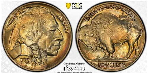 1923年 P ニッケル インディアンヘッドまたはバッファロー PCGS MS-66+