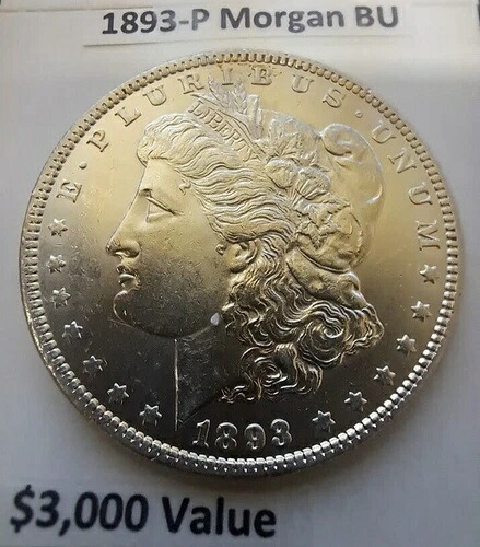 1893-P モルガン銀貨 美しい宝石 BU 3,000ドル以上の価値シリーズ KEY バーゲン $$|WORLD RESOURCE【KING店】