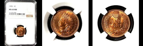 1905 1C NGC MS65RD-PQ インディアンヘッド スモールセント---