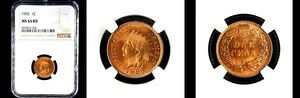 1905 1C NGC MS65RD (純赤) - 派手なPQインディアンヘッドスモールセント---｜WORLD RESOURCE【KING店】 687,720円