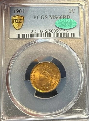 1901年 PCGS & CAC MS66RD インディアンセント|WORLD RESOURCE【KING店】