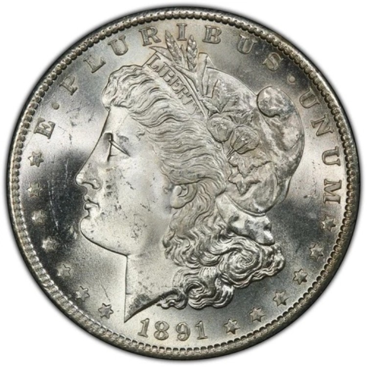 1891-S モルガン銀貨 PCGS MS65 - - ブラストホワイト&フロスティデバイス|WORLD RESOURCE【KING店】
