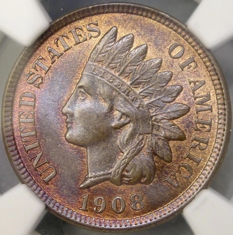 1908年インディアンヘッド セント/ペニー 希少トップローポップ 4/0 NGC MS 66+ RB 最高級コイン｜WORLD RESOURCE【KING店】