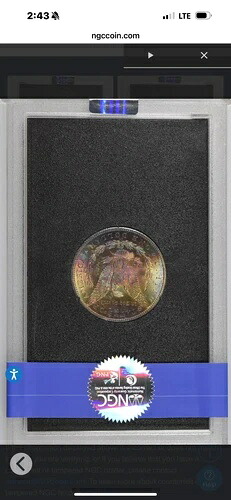 1884 cc モルガン ダラー ms64+ NGC、GSA モンスター レインボー、トーン加工、箱付き｜WORLD RESOURCE【KING店】