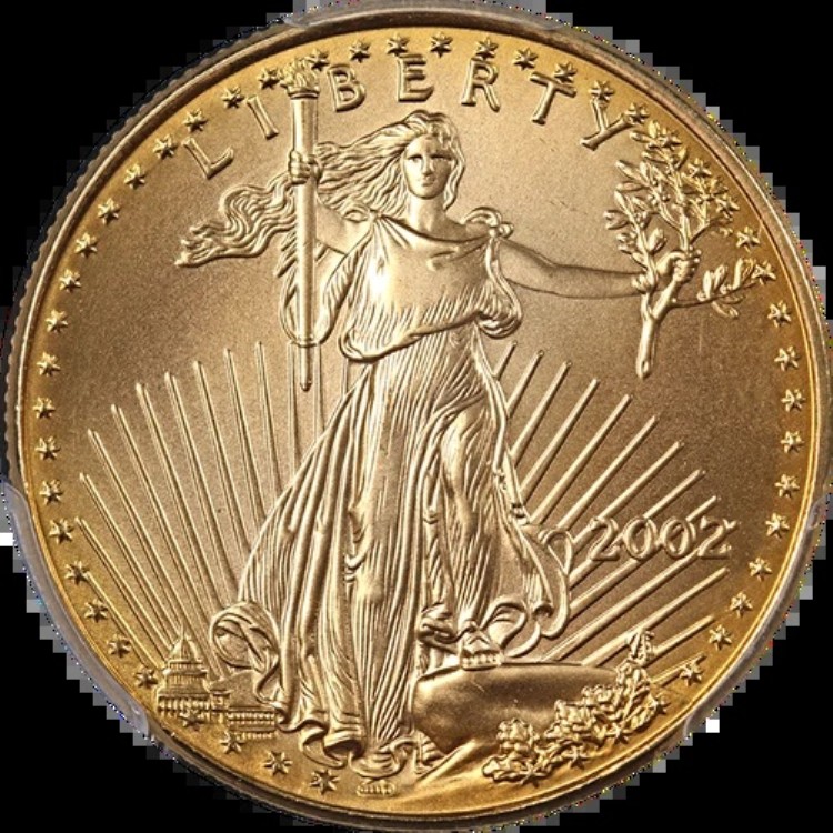 2002年 ゴールド アメリカンイーグル $25 PCGS MS69 ブルーラベル - 在庫あり｜WORLD RESOURCE【KING店】