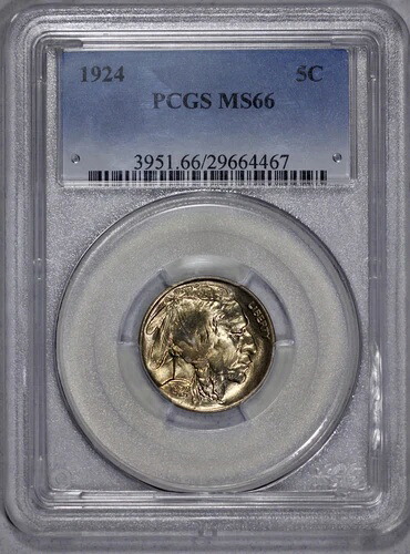 1924年 バッファロー 5セント ニッケル PCGS MS 66