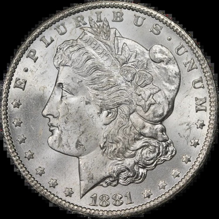 1881-CC GSA モルガン銀貨 NGC MS62 ブラストホワイト ナイスアイアピール｜WORLD RESOURCE【KING店】