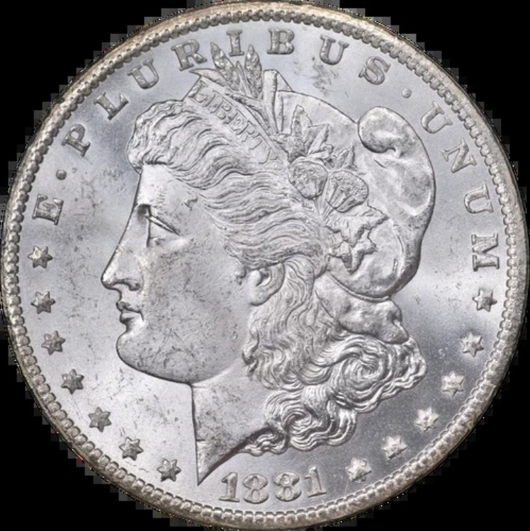 1881-CC GSA モルガン銀貨 NGC MS62 ブレイジングホワイトジェムストロングストライク｜WORLD RESOURCE【KING店】