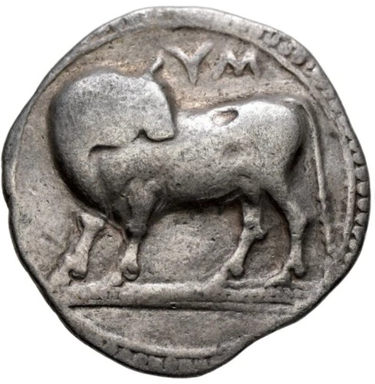 ギリシャ、古代イタリア - ルカニア、シバリス（紀元前550年）ノモス銀貨 - 雄牛