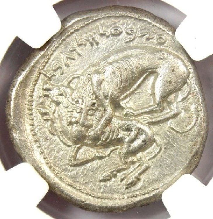 フェニキア ビブルス アズバアル ライオン AR シェケルコイン 紀元前400年 - NGC Choice AU - 表面5/5