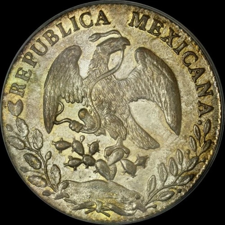 非常に希少 1882 Oa AE 8R 実物 PCGS MS62 ジョン・J・ピットマン 標本 A+ 光沢｜WORLD RESOURCE【KING店】