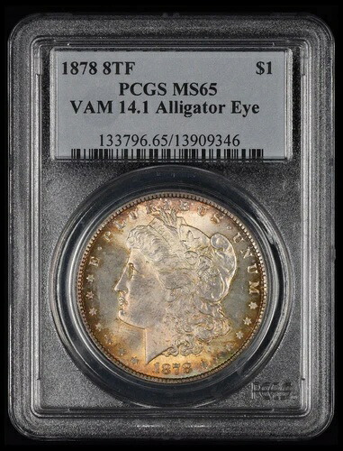 1878 8TF $1 VAM 14.1 アリゲーターアイ PCGS MS65｜WORLD RESOURCE【KING店】