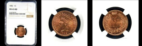 1882 1C NGC MS66RD-希少 純赤 ポップ 33-PQ インディアンヘッド スモールセント---