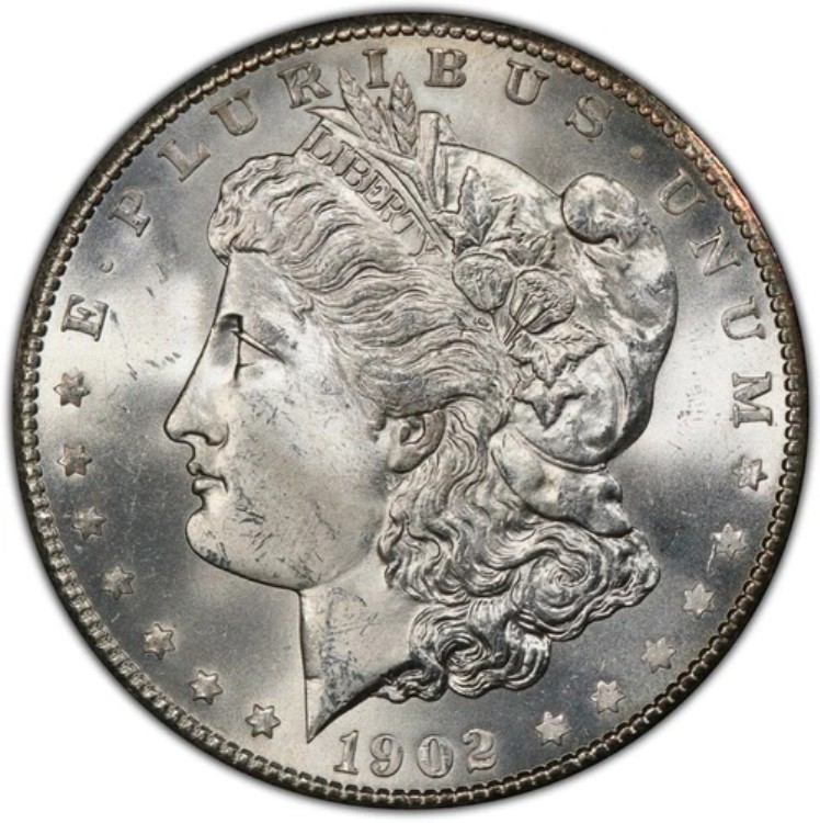 1902-S モーガン銀貨 PCGS MS65 - - ブラストホワイト！（希少コイン）
