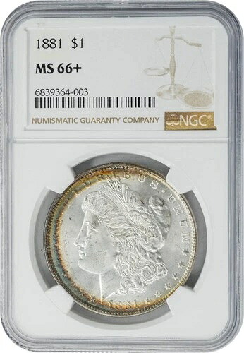 1881年 モルガン銀貨 $ MS66+ NGC 950103-2|WORLD RESOURCE【KING店】