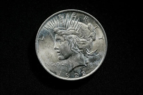 1922-P ピースシルバーダラー VAM-6 ダブルリーフ - フォトグレードタイプ - 実物写真|WORLD RESOURCE【KING店】