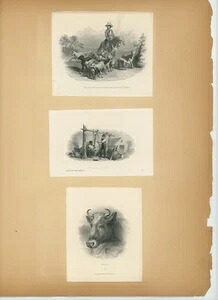 アメリカン・バンク・ノート・カンパニーの風景画 農場の動物の図案 3ページ中