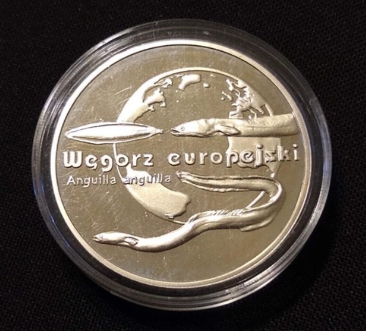 2003年 ポーランド 20ズウォティ ヨーロッパウナギ 世界の動物 希少銀貨