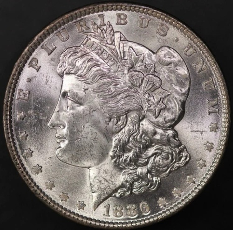 1886年モルガン銀貨 - 古いコレクションから新品 - ロット8391|WORLD RESOURCE【KING店】