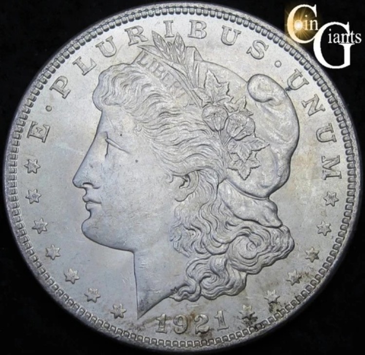 1921-P モーガン シルバー ダラー VAM-1E ピット リース ボウ リバース HOT 50 バラエティ ジェム!