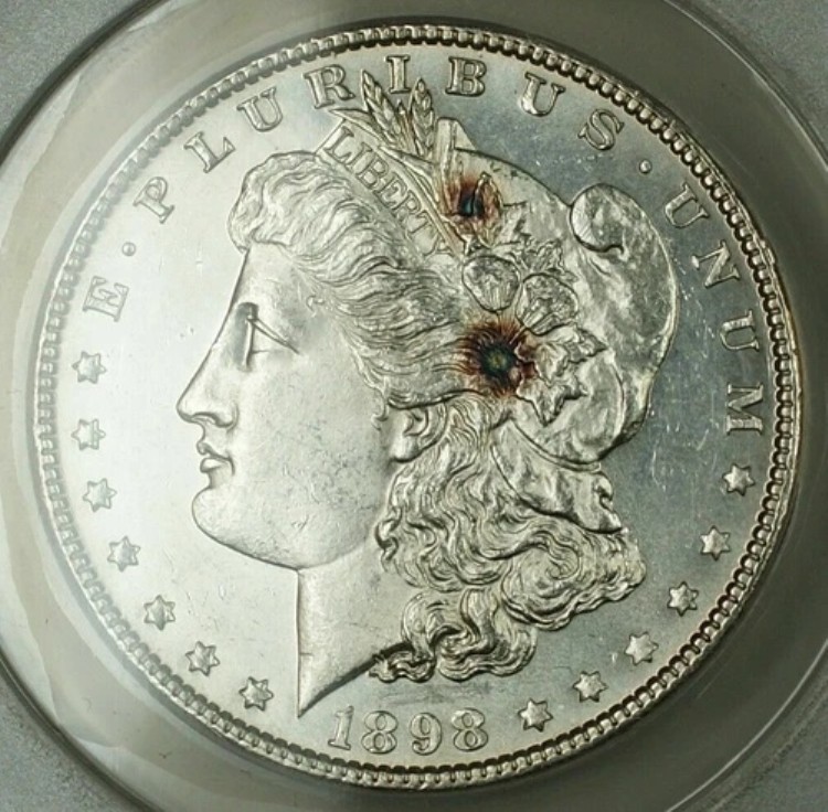 1898年モルガン銀貨、ANACS MS-62（良質コインセミプルーフライク）｜WORLD RESOURCE【KING店】 84,095円
