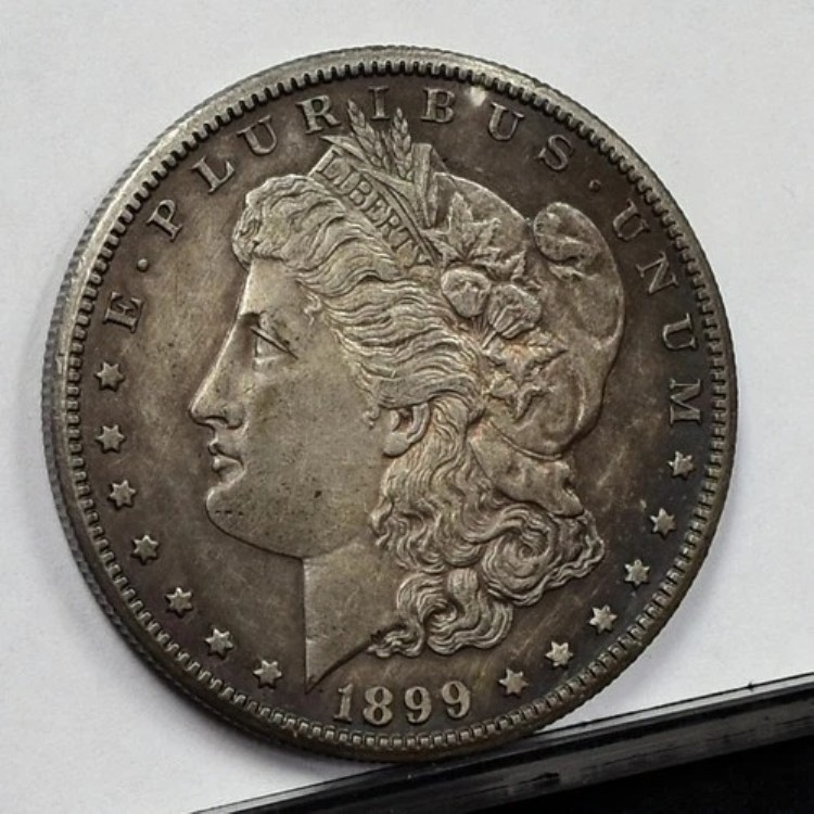 1899年モルガン・ダラー - 細部不明、トーンあり (#59171-L)｜WORLD RESOURCE【KING店】