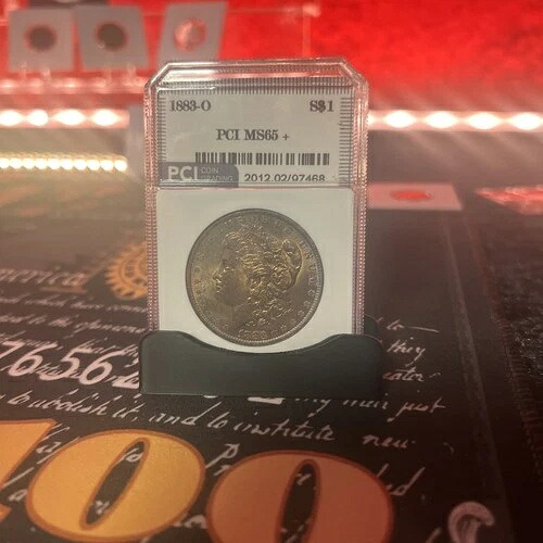 1883-0 スラブ $1 シルバー モーガン 非常に素晴らしいコイン!!｜WORLD RESOURCE【KING店】